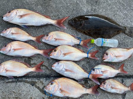 末広丸(熊本) 釣果