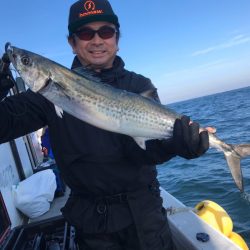 ランスルー 釣果