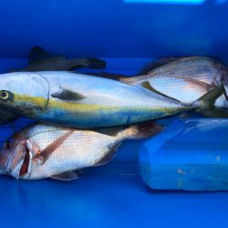 第二八坂丸 釣果