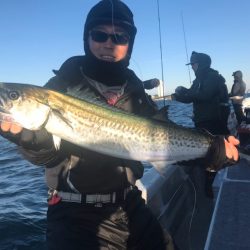 ランスルー 釣果