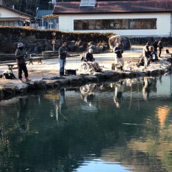 白州トラウトフィッシングエリア　シルフ 釣果