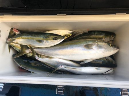 ヤザワ渡船 釣果