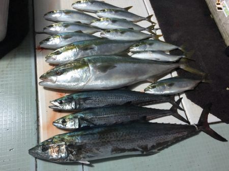 エムズジャーク(M’s JERK) 釣果