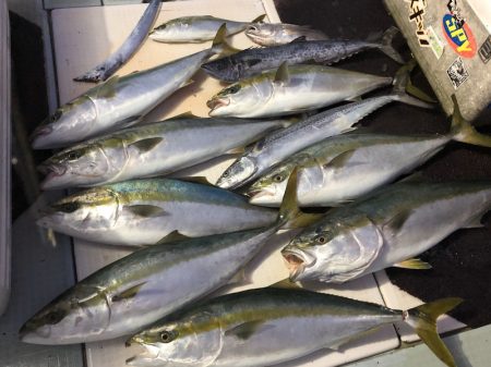 エムズジャーク（M's JERK…