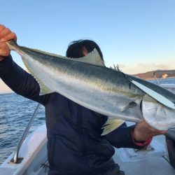 ランスルー 釣果