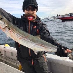 ランスルー 釣果