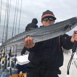 ランスルー 釣果