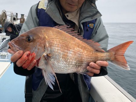 第二八坂丸 釣果