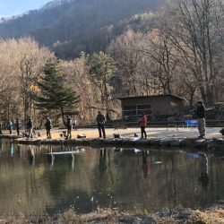 白州トラウトフィッシングエリア　シルフ 釣果