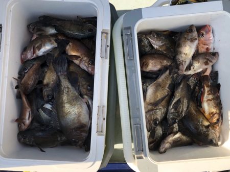 フィッシング キッタカ 釣果