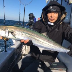 ランスルー 釣果