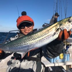 ランスルー 釣果