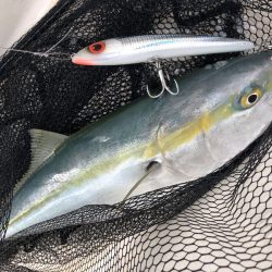 「LaGooN」蒼陽丸 日和号　 釣果