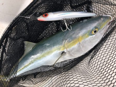 「LaGooN」蒼陽丸 日和号　 釣果