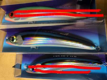 「LaGooN」蒼陽丸 日和号　 釣果