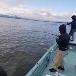 アマテラス 釣果