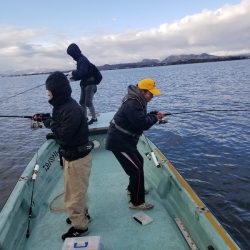 アマテラス 釣果