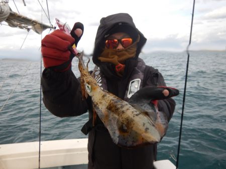 きずなまりん 釣果