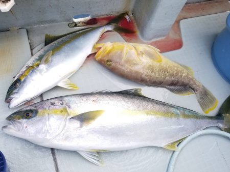 アマテラス 釣果