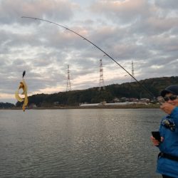 アマテラス 釣果