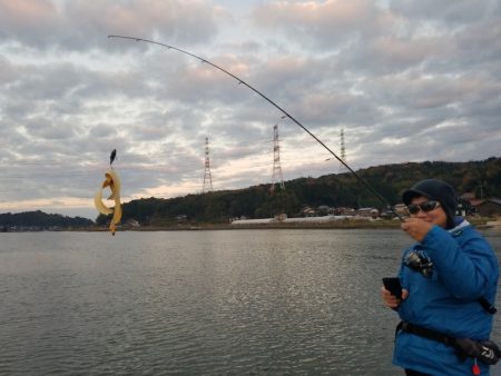 アマテラス 釣果