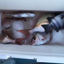 第二八坂丸 釣果