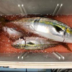 第二八坂丸 釣果