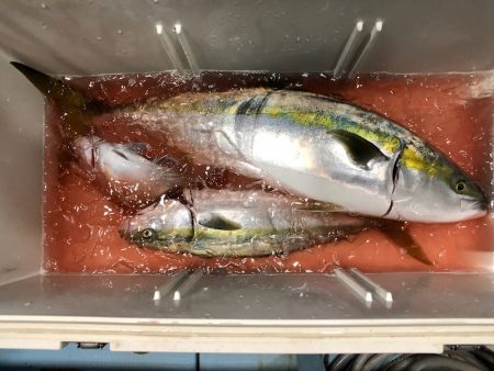 第二八坂丸 釣果