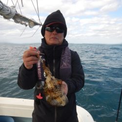 きずなまりん 釣果