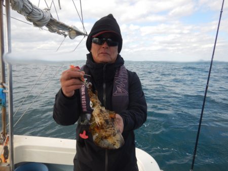 きずなまりん 釣果