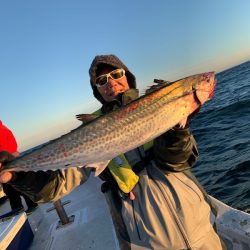 ランスルー 釣果