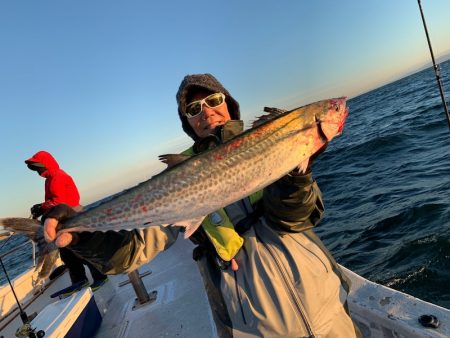 ランスルー 釣果