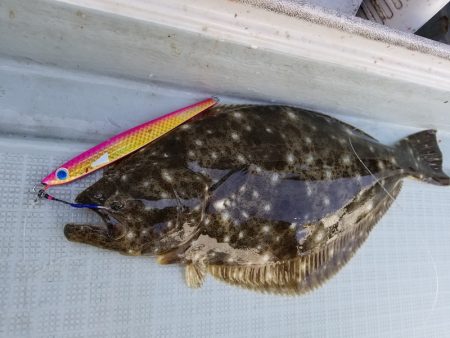 アマテラス 釣果