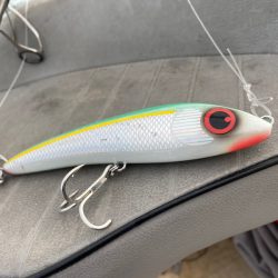 「LaGooN」蒼陽丸 日和号 釣果