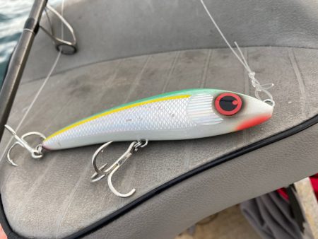 「LaGooN」蒼陽丸 日和号 釣果