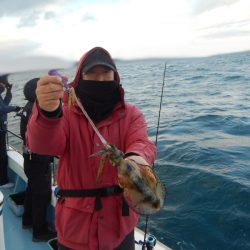 きずなまりん 釣果