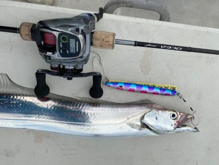 末広丸(熊本) 釣果