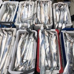 フィッシング　キッタカ 釣果