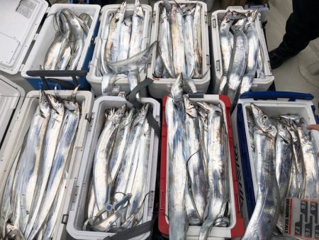 フィッシング　キッタカ 釣果