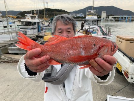 ぽん助丸 釣果