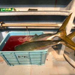 第二八坂丸 釣果