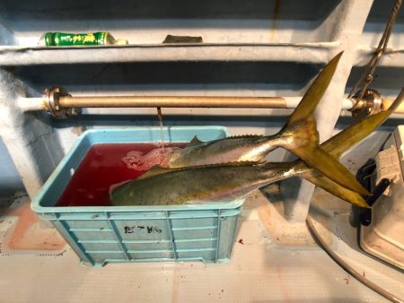 第二八坂丸 釣果