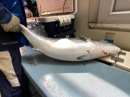 第二八坂丸 釣果