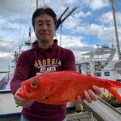 晃山丸 釣果