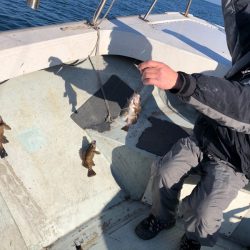 フィッシング キッタカ 釣果