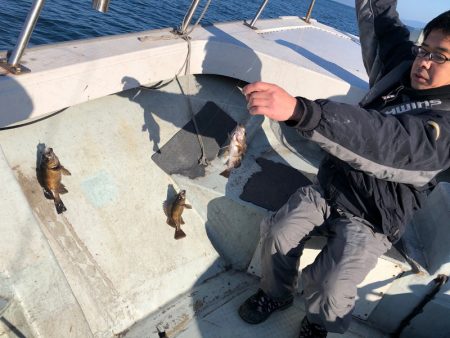 フィッシング キッタカ 釣果