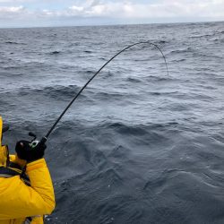 あみや渡船 JIGBOY 釣果