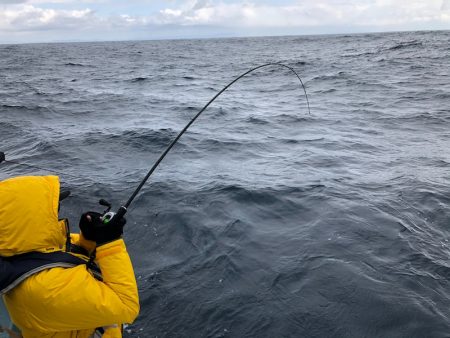 あみや渡船 JIGBOY 釣果