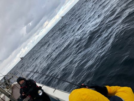 あみや渡船 JIGBOY 釣果