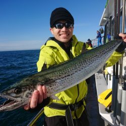ありもと丸 釣果